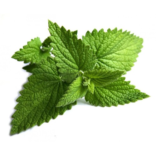 Peppermint Therapeutic Grade Essential Oils 5